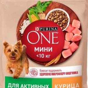 Корм д/соб One активная кур рис 600г