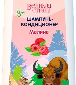 Шампунь EXXE Великая страна Малина детский 3+ 400мл 83199