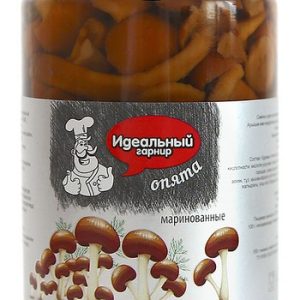 Грибы Идеальный гарнир Опята маринованные ст/б 580мл