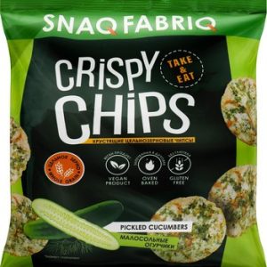 Чипсы Snaq Fabriq цельнозерновые б/сахара протеиновые вкус малосольные огурчики 50г
