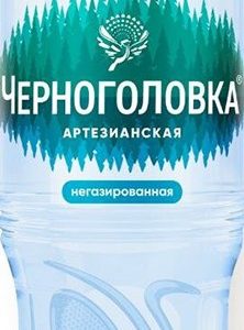 Вода Черноголовка негаз пэт 1л