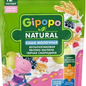 Каша Gipopo с/м мультизлаковая яблоко-малина-черная смородина 12+ м/у 200г