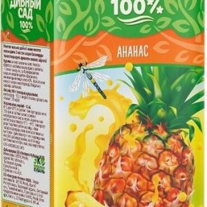 Нектар Дивный Сад ананас т/п 1л
