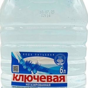 Вода Ключевая негаз пэт 6л