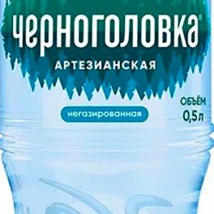 Вода Черноголовка негаз пэт 0,5л