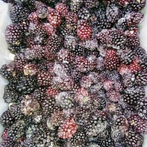 Рыба Скумбрия непотрошенная вес