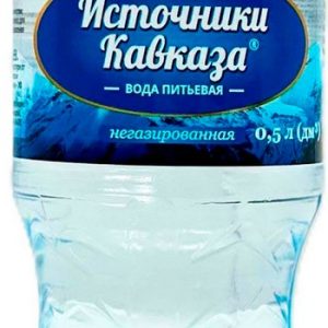 Вода Источники Кавказа негаз пэт 0,5л