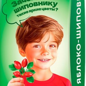 Сок Сады Придонья яблоко-шиповник т/п 200мл
